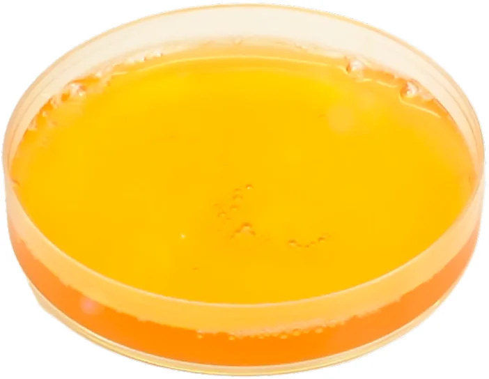 PRP Wound Gel — Advanced Therapy · RegenWound®
